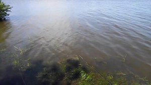 Рыбалка на реке Меша.