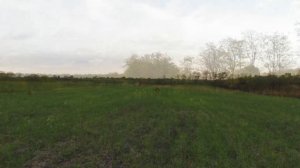 Скифская земля! Копаем по Скифам. Коп 2020 (Неизданное). Кладоискатели - Украина!