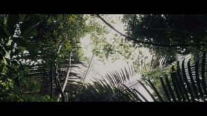 Невероятные Случаи Выживания в Джунглях