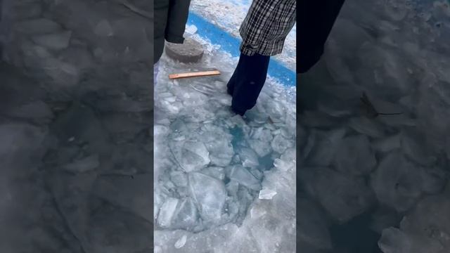 Кто больше просидит в холодной воде у нас температура -20￼￼ смотреть онлайн