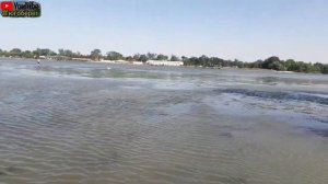 Ростов на Дону. Зеленый остров. Обзор.#treval #ростовнадону #югоберег #зеленыйостров