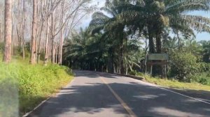 Классная экскурсия в Као Лак из Пхукета. Тайланд в 2024