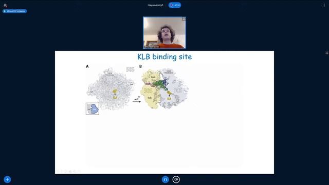 Научный клуб ФББ. Где и как искать новые антибиотики. Илья Остерман смотреть онлайн
