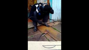 Сварочный трансформатор ТДМ   20 9 У2 200 Ампер.