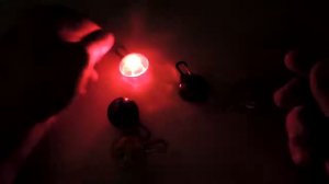 Светящийся Брелок для собаки