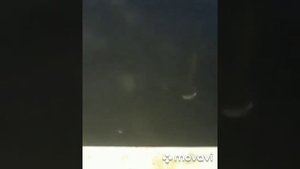 Рыбалка в станице Змейская , РСО-АЛАНИЯ