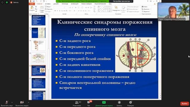 4. Спинной мозг / spinal cord смотреть онлайн