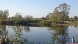 Снится мне деревня