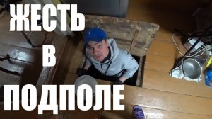 Спустился в старый подпол, пришлось быстро принимать решение. [Жизнь в деревне]
