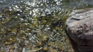 Большая Байкальская Тропа 2022 - Все части