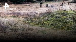 Момент сдачи в плен: украинские боевики добровольно вышли к российским солдатам / РЕН Новости