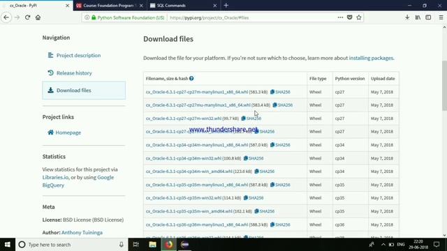 Python Database Integration
