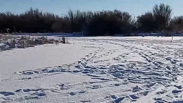 Рыбалка. Первый лед. Щучий жор. смотреть онлайн