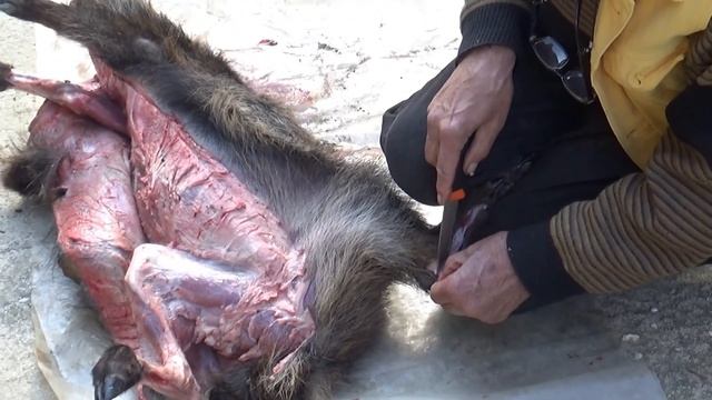 ИНСТРУКЦИЯ ПО РАЗДЕЛКЕ ДИКОГО КАБАНА смотреть онлайн