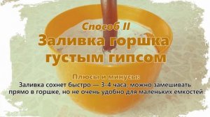 КАК ЗАКРЕПИТЬ ТОПИАРИЙ в ГОРШКЕ — без гипса или с гипсовой заливкой! Самые простые способы креплени