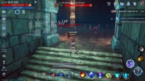 MIR4 Mystery quest A Noble Cause 3.3 Cleaning the Backstreet