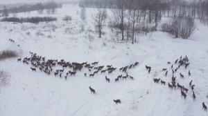 Робоавиа: авиаучётные работы