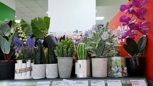 ФИКС ПРАЙС.Столько Новинок.Полки Ломятся.Решила все Посмотреть