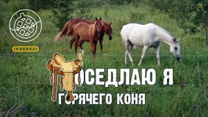 Ременный разделитель с конской сбруи