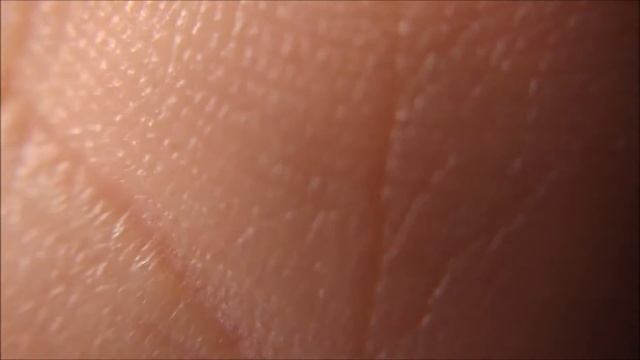 (:Review:) Clip-On Universal Cell Phone Camera Lens Kit ~ Fisheye, Macro, Telephoto, Wide Angle, CP смотреть онлайн