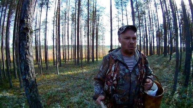 СБОР КЛЮКВЫ/АРХАНГЕЛЬСКАЯ ОБЛАСТЬ/ВОТ ОНА КРАСОТА СЕВЕРА/ COLLECTION KEY / ARKHANGELSK REGION смотреть онлайн