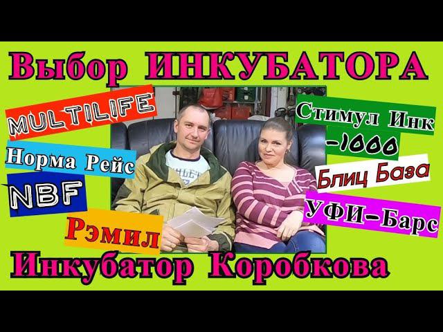 КАКОЙ ИНКУБАТОР ВЫБРАТЬ? Наш выбор.