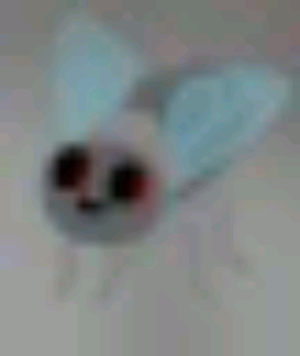илья