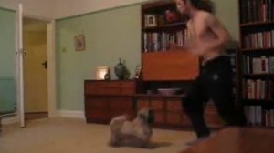 Capoeira with my dog