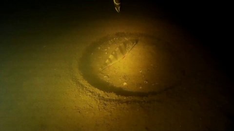 закрытие сезона 2020