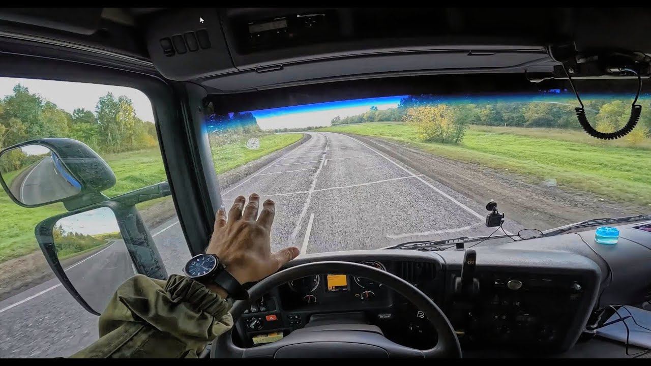 Приручаю щенка. Соболезнования 