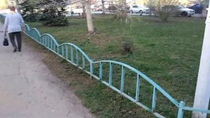 Очередной беспредел по сносу ограждений и замене бордюрного камня в Москве