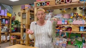 Тилландсия уснеевидная - растение без горшка и почвы | Экзот, эпифит и просто стильная штучка