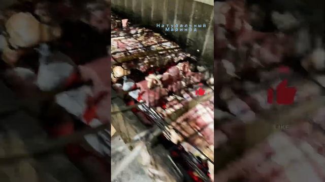 Спинка баранина шашлык ???? смотреть онлайн