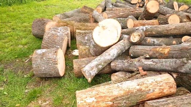 Дачные будни в деревне / Вода, дрова, мясо и летний душ смотреть онлайн