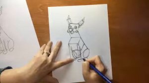 How To Draw A Boston Terrier