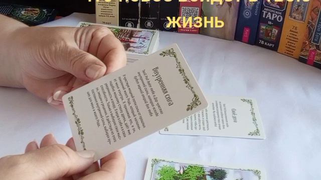 Что новое войдёт в твою жизнь #желаниетворить #внутренняясила #единение #отношения #любовь #движение