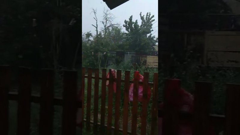 сегодня был сильный ливень,есть пострадавшие в саду