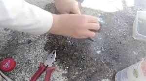 Восстановили бокорезы