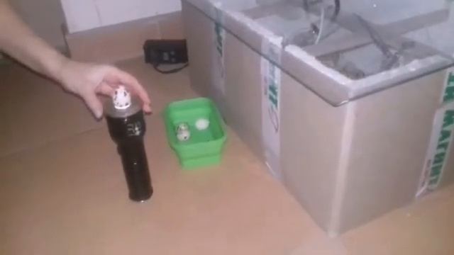 Овоскопирование перепелиных яиц фонариком