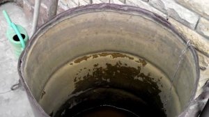 Полив винограда. Как правильно поливать виноград?