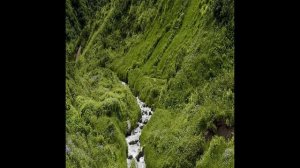 Долина гейзеров, Камчатка