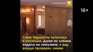 Николае Чаушеску. Жизнь и смерть диктатора.