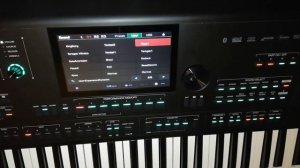 Medeli AKX10-Romanian Sampler