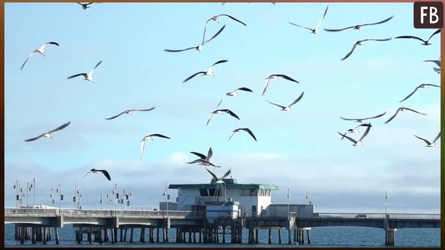 Вестники умерших. Бабушка рассказала, что делать, если птица постучит в окно смотреть онлайн