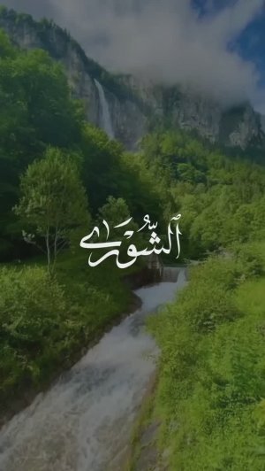 42 Совет | Ash-Shuraa | سورة الشورى verse 52 Tareq Mohammad Мухаммад Тарик
