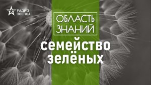 Какие растения и почему будут исчезать в Европейской части России? Лекция Натальи Решетниковой.