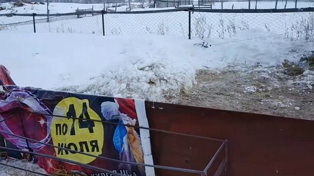 Наша отара овец |Овчарня для овец|ОВЦЕВОДСТВО