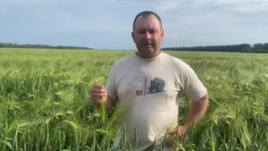 Плодородие Почвы Живой Гумус Биогумус