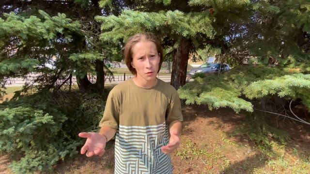 Тест кед подкрадули,самые прочные и дешёвые кеды смотреть онлайн