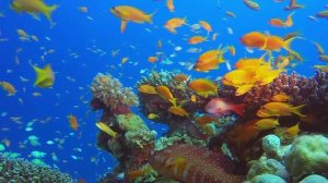 Романтическая расслабляющая музыка с хорошими сценами из фильмов|Лучшее для вашей души - саксофона